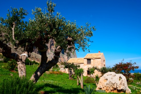  THE GARDEN
